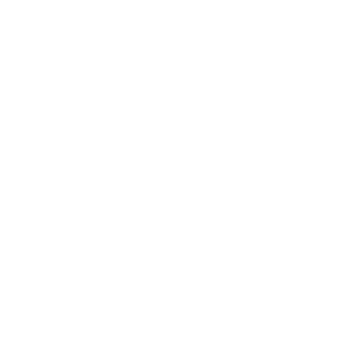 Flex Fetch